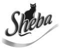 sheba